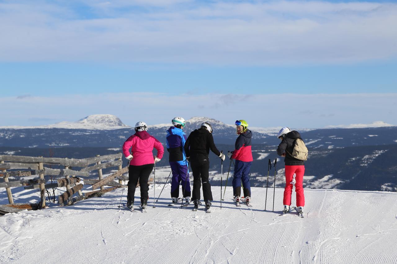 Gomobu Fjellstue Hotel Ron ภายนอก รูปภาพ