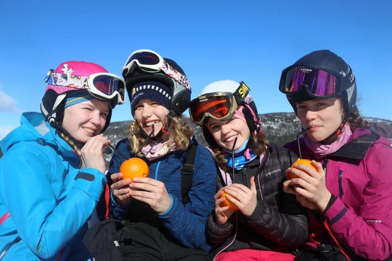 Gomobu Fjellstue Hotel Ron ภายนอก รูปภาพ