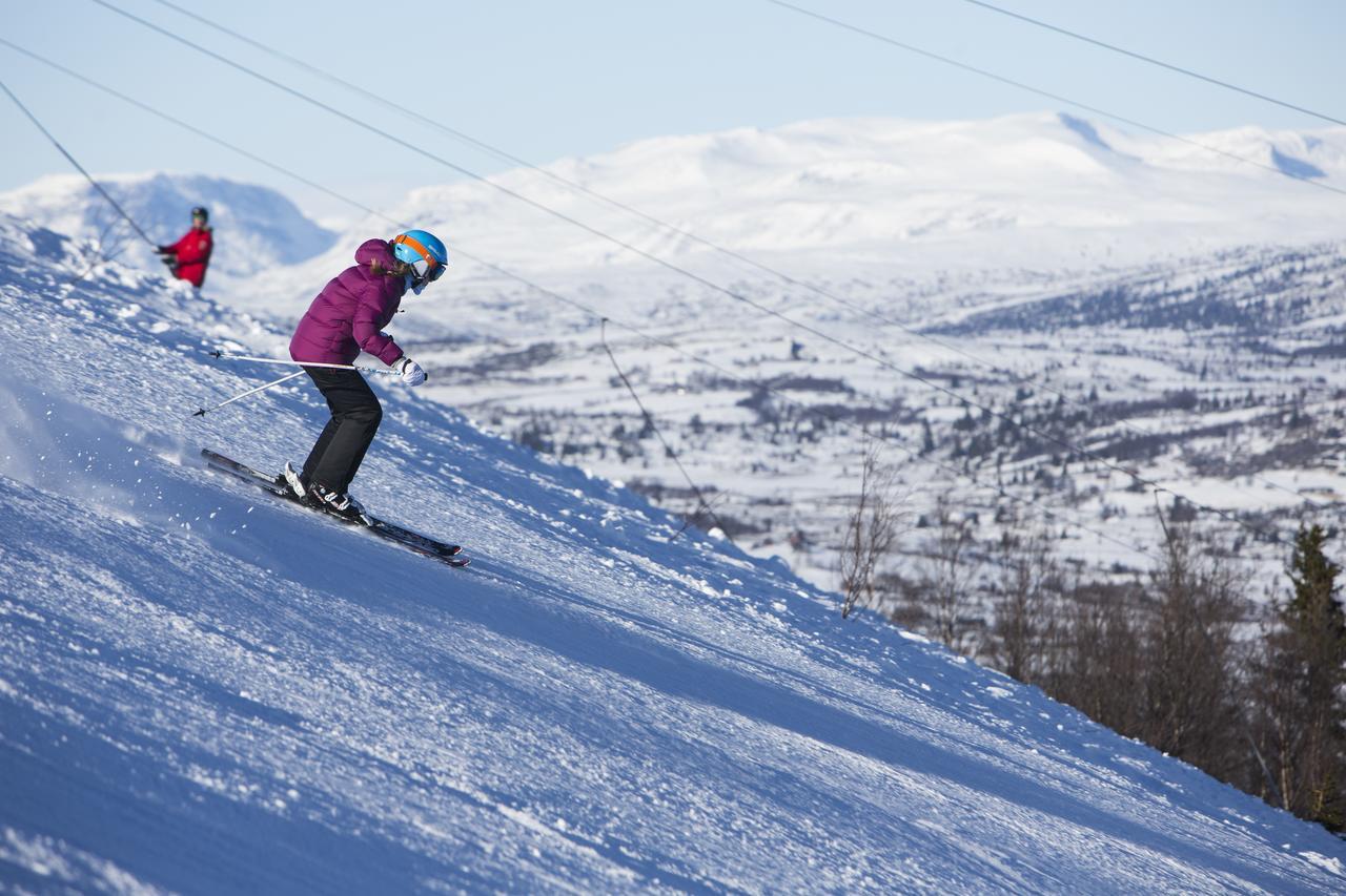 Gomobu Fjellstue Hotel Ron ภายนอก รูปภาพ