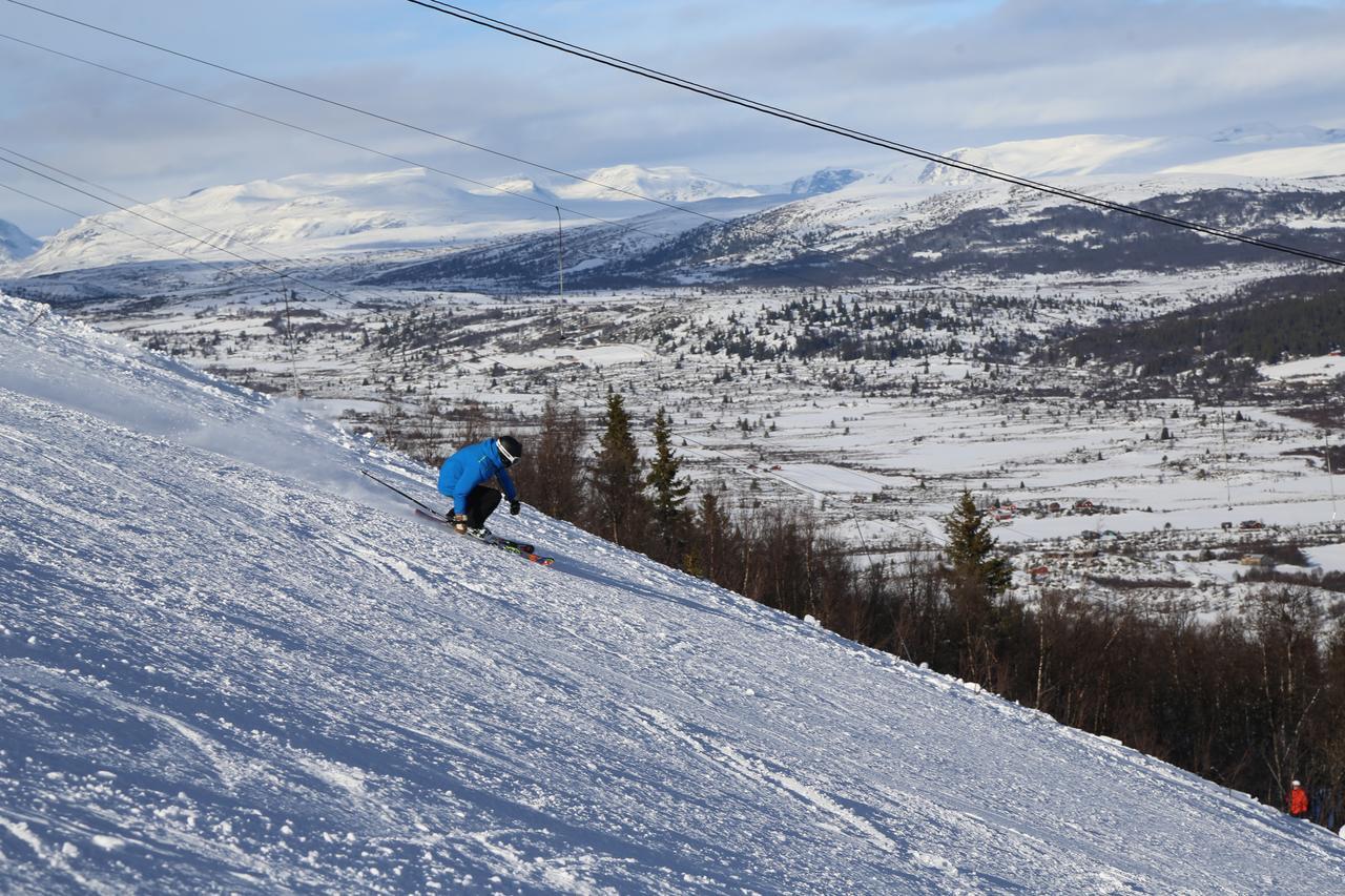 Gomobu Fjellstue Hotel Ron ภายนอก รูปภาพ
