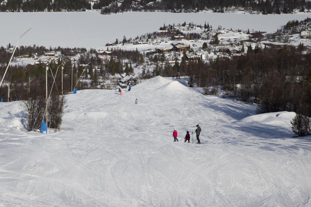 Gomobu Fjellstue Hotel Ron ภายนอก รูปภาพ