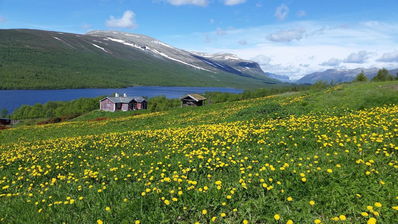 Gomobu Fjellstue Hotel Ron ภายนอก รูปภาพ